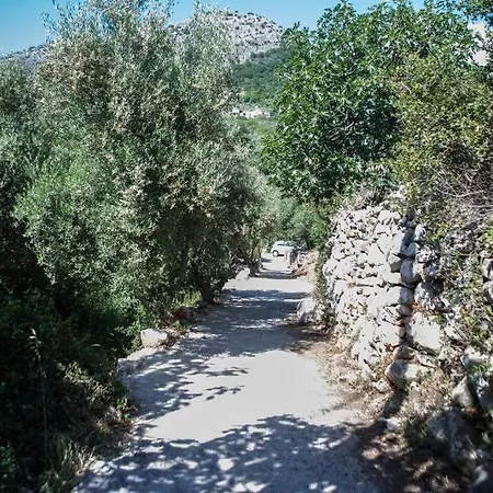 πύργος καπουλέα Apartamento Tseria